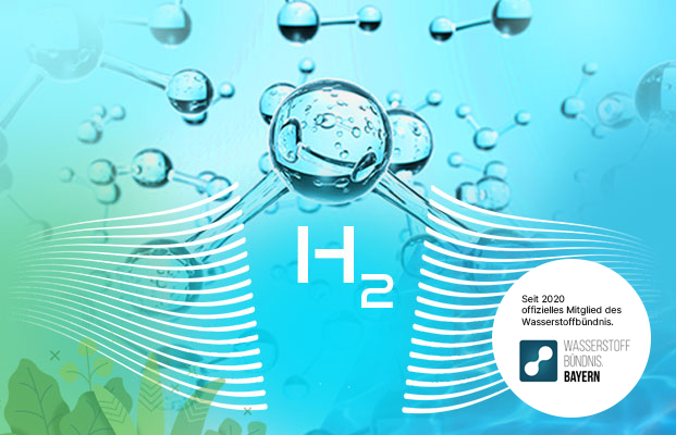 H2 aus Biomasse